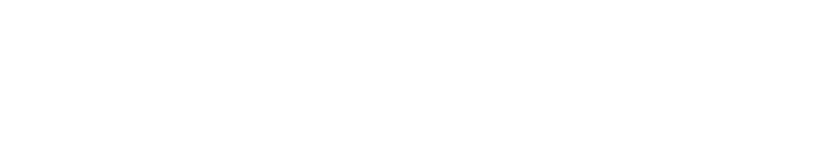 고독사 위험 현황