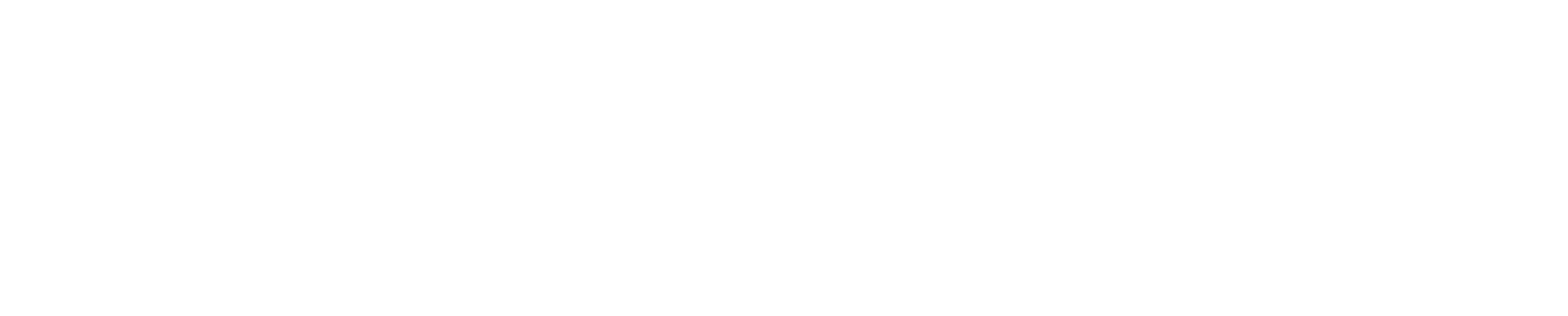 사망자 현장조사와 대안